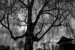 auschwitz_foto_davidaraujo-290x193